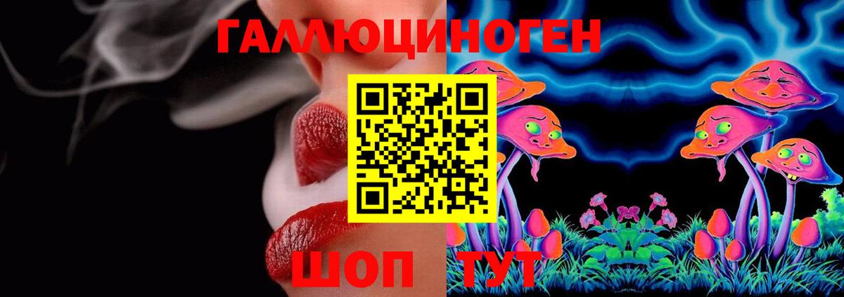 Псилоцибиновые грибы Psilocybe Арзамас